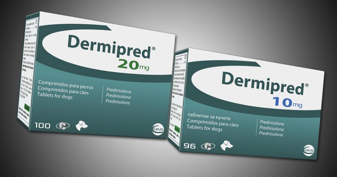 Dermipred Posologie Pour Votre Animal Chiens Chiots A Vendre