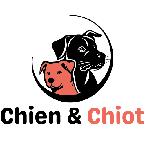 Chiens Chiots à vendre
